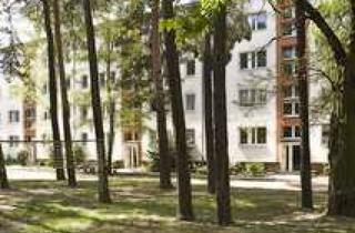 Wohnung mieten in Kiefernweg 11, 14913 Niedergörsdorf, helle 2-Raum-Wohnung mit Balkon und Tageslichtbad mit Wanne in ruhiger Lage