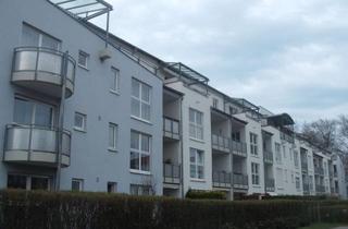 Wohnung mieten in Wellenburger Straße 50, 86199 Göggingen, Traumhafte 2-ZKB mit Garten in Göggingen