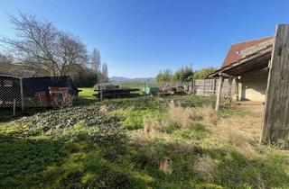 Einfamilienhaus kaufen in 67483 Kleinfischlingen, Einfamilienhaus mit Scheune in Feldrandlage