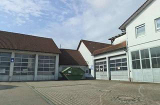 Gewerbeimmobilie mieten in Im Städtle 36, 89168 Niederstotzingen, Gewerbehalle für Werkstatt, Handwerk, Produktion und mehr in Niederstotzingen