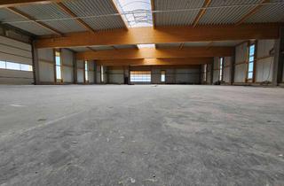 Gewerbeimmobilie kaufen in 75438 Knittlingen, moderne Produktionshalle mit reichlich Expansionsfläche