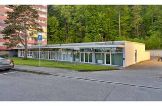 Anlageobjekt in 79183 Waldkirch, 5 modernisierte Einheiten mit ca. 9% Rendite in Waldkirch