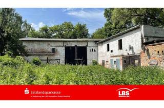 Grundstück zu kaufen in 39418 Neundorf, Scheune inklusive