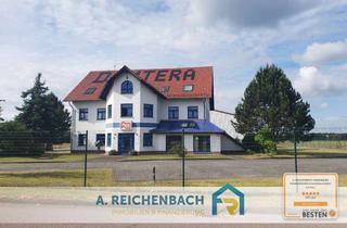 Büro zu mieten in Dübener Landstraße, 06905 Söllichau, Raum für Erfolg – Großzügige Gewerbeimmobilie mit Büro, Showroom und Lager zu vermieten