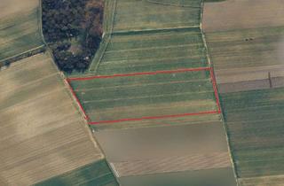 Gewerbeimmobilie kaufen in 67550 Rheindürkheim, 30.000 m² Ackerland in einem Stück bei Worms