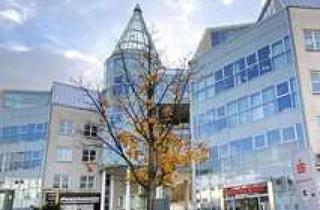 Wohnung mieten in Bülowstr. 79, 45479 Broich, DG-Whg. mit Dachterrasse