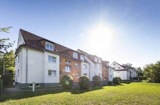 Wohnung mieten in K.-Fr.-Goerdeler-Str., 71522 Backnang, Frisch sanierte 2-Zimmer EG Wohnung in Backnang
