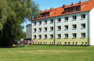 Wohnung mieten in Hessenburger Str., 18317 Saal, 2-Zimmer-Wohnung im Hochparterre