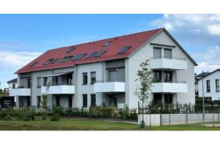 Wohnung mieten in 97265 Hettstadt, Neuwertige, helle 2-Zimmer-Wohnung mit Westbalkon in Hettstadt