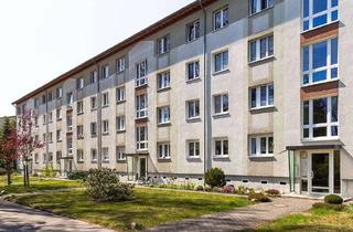 Wohnung mieten in Herzberger Straße 13, 03048 Ströbitz, Wohnung im Grünen und mit Balkon