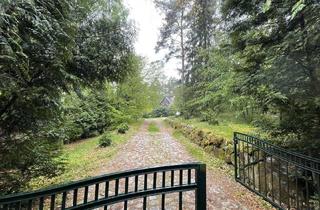 Haus mieten in 23883 Grambek, Mitten im Wald: Großzügiges Einfamilienhaus für Jung und Alt mit viel Privatsphäre