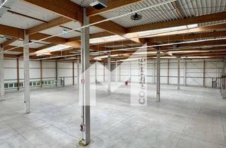 Gewerbeimmobilie mieten in 40699 Erkrath, PRODUKTION | HALLE | LAGER | RAMPEN | EBENERDIG | BÜRO | STELLPLÄTZE | COMSTATE
