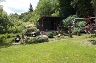 Grundstück zu kaufen in Kriechenbrunnen, 71229 Leonberg, Glemseck, Leonberg, Gartengrundstück / Erholungsfl., ca 27Ar, Gartenhaus, Strom, Wasser, Stellplätze