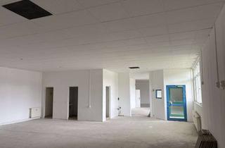 Gewerbeimmobilie mieten in Im Sommerfeld, 38304 Wolfenbüttel, Vielfältig nutzbare Gewerbefläche mit ca. 240 m² (teilbar 120 m²) in in verkehrsgünstiger Lage