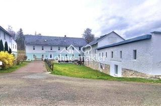 Haus kaufen in 07907 Schleiz, Glücksmühle-ehem. Wassermühle in herrlicher Lage, ohne Provision, kein Denkmalschutz
