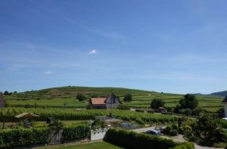 Wohnung kaufen in 79235 Vogtsburg, Wohnen mit Wohlfühlfaktor: 4,5 Zimmer Maisonette mit Terrasse, Balkon & Weinbergblick