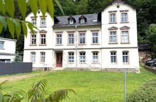 Wohnung kaufen in 09235 Burkhardtsdorf, Kapitalanlage mit Perspektive! 2-Raum-Dachgeschosswohnung mit Entwicklungspotential im Erzgebirge