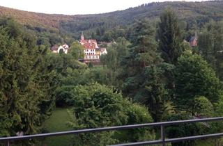 Wohnung kaufen in 69118 Ziegelhausen, NECKARBLICK: Großzügige 3-Zi Wohnung, Balkon, Gartenanteil, in Bestlage von Ziegelhausen
