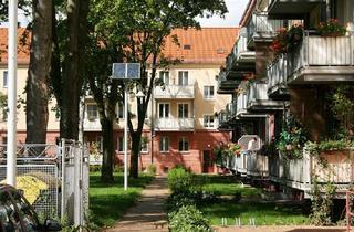 Wohnung mieten in Herbordstraße, 17033 Innenstadt, Wohnung in Citylage