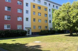 Wohnung mieten in Jänschwalder Straße 14, 03048 Sachsendorf, Liebe Singles, starkes Angebot – jetzt sichern! / Dear singles, a great offer – secure it now!