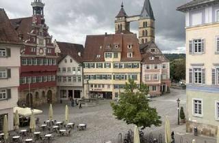 Wohnung mieten in 73728 Esslingen, Lebendig wohnen: 3,5-Zimmer-Wohnung mit Balkon in Esslingen
