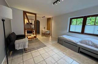 Wohnung mieten in 57074 Siegen, Möblierte 1-Zimmer-Wohnung mit Terrasse & Blick ins Grüne – Erstbezug nach Renovierung