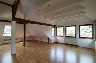 Wohnung mieten in 01445 Radebeul, traumhafte 2-Raum-Dachgeschossswohnung mit Weinbergblick