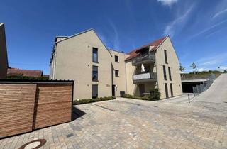 Wohnung mieten in 76829 Wollmesheim, Neubau 3-Zimmerwohnung im 1. Obergeschoss