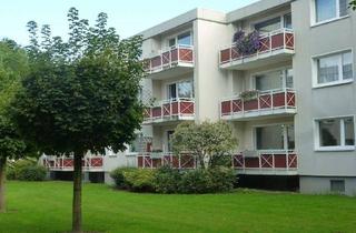 Wohnung mieten in Gottlieb-Daimler-Str., 30974 Wennigsen, helle 2-Zimmerwohnung in Wennigsen