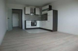 Wohnung mieten in Am Wehr, 65835 Liederbach, Exklusive, ruhige und komplett sanierte 1-Zimmer-Wohnung mit Einbauküche in Liederbach am Taunus