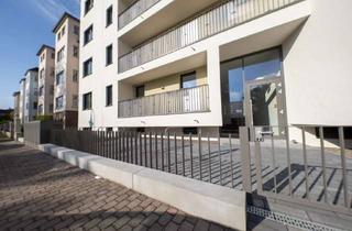 Wohnung mieten in Ringstraße 36, 06844 Innenstadt, Wohnung mit Blick ins Grüne