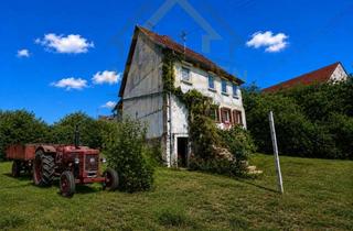 Bauernhaus kaufen in Hauptstraße 15, 74744 Ahorn, Das Haus mit dem Wow-Effekt: Ferienhaus, Eigenheim oder Kapitalanlage – hier ist alles möglich!