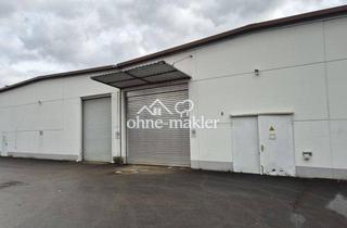 Geschäftslokal mieten in Riedheimer Straße 6, 89129 Langenau, Gewerbehallen mit elektrischem Rolltor in Langenau zu vermieten