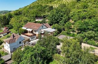 Haus kaufen in 67822 Niedermoschel, Zwei Häuser auf 3487 m² Grundstück
