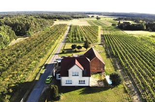Haus kaufen in 06917 Jessen, Saniertes EFH mit viel Nebengelass direkt am Weinberg