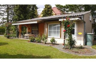 Haus kaufen in 03149 Forst, Grüne Oase im Herzen der Stadt