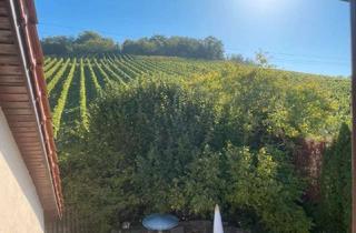 Einfamilienhaus kaufen in 97286 Sommerhausen, Traumhafter Panoramablick über Maintal und Weinberge in Sommerhäuser Bestlage