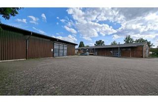 Gewerbeimmobilie kaufen in 31789 Hameln, Standort mit Perspektive - Gewerbehallen in Hameln