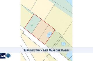 Grundstück zu kaufen in 94474 Vilshofen, RESERVIERT! HERRLICHES FREIZEIT GRUNDSTÜCK MIT WALDBESTAND