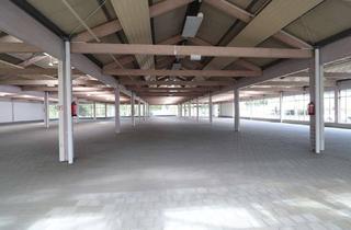 Gewerbeimmobilie mieten in 95189 Köditz, Groß denken beginnt hier