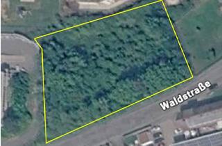 Gewerbeimmobilie kaufen in Waldstraße, 74731 Walldürn, Grundstück zu verkaufen!!