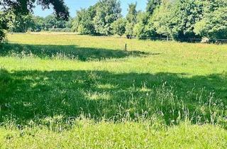 Gewerbeimmobilie kaufen in 24782 Büdelsdorf, Weidefläche am Stadtrand von Büdelsdorf