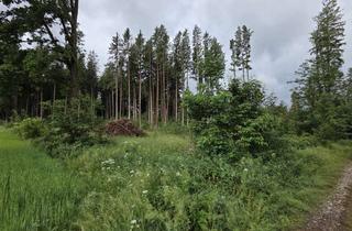 Gewerbeimmobilie kaufen in 82054 Sauerlach, Waldgrundstück in Sauerlach mit sehr guter Erschließung