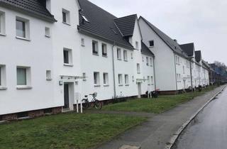 Wohnung mieten in Spieringshorster Str. 22, 23564 St. Gertrud, Komplett modernisierte 1,50-Zimmer-Wohnung mit Balkon
