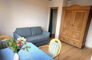 Wohnung mieten in 59755 Arnsberg, Modernisiertes möbliertes 1-Zimmer-Appartement in Arnsberg-Neheim
