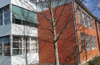 Wohnung mieten in Wolfensteinstraße 23, 06114 Paulusviertel, Helle 4-Raum-Wohnung mit Dachterrasse