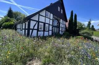 Einfamilienhaus kaufen in Dahlsheider Str., 32760 Detmold, Alltagstauglich geschnittenes Einfamilienhaus in Detmold