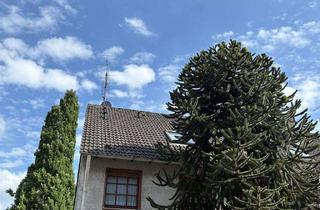 Haus kaufen in Sabinastraße 41, 45136 Bergerhausen, Großzügiges Reihenendhaus mit sonnigem Garten – ruhige Ecklage