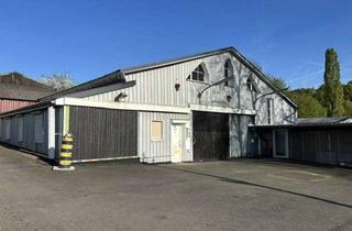 Gewerbeimmobilie kaufen in 63679 Schotten, Lagerhalle / Werkstatt mit Gartengrundstück