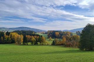 Grundstück zu kaufen in 94371 Rattenberg, Naturnahes Baugrundstück mit Fernblick im Bayerischen Wald